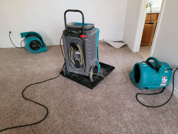 Best 24/7 water damage repair  in Conway, PA