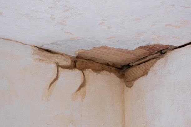 Best Water damage cleanup near me  in Conway, PA
