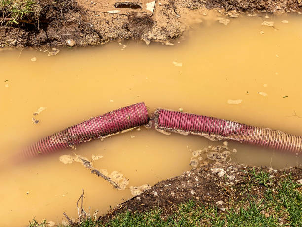Best Carpet water damage restoration  in Conway, PA